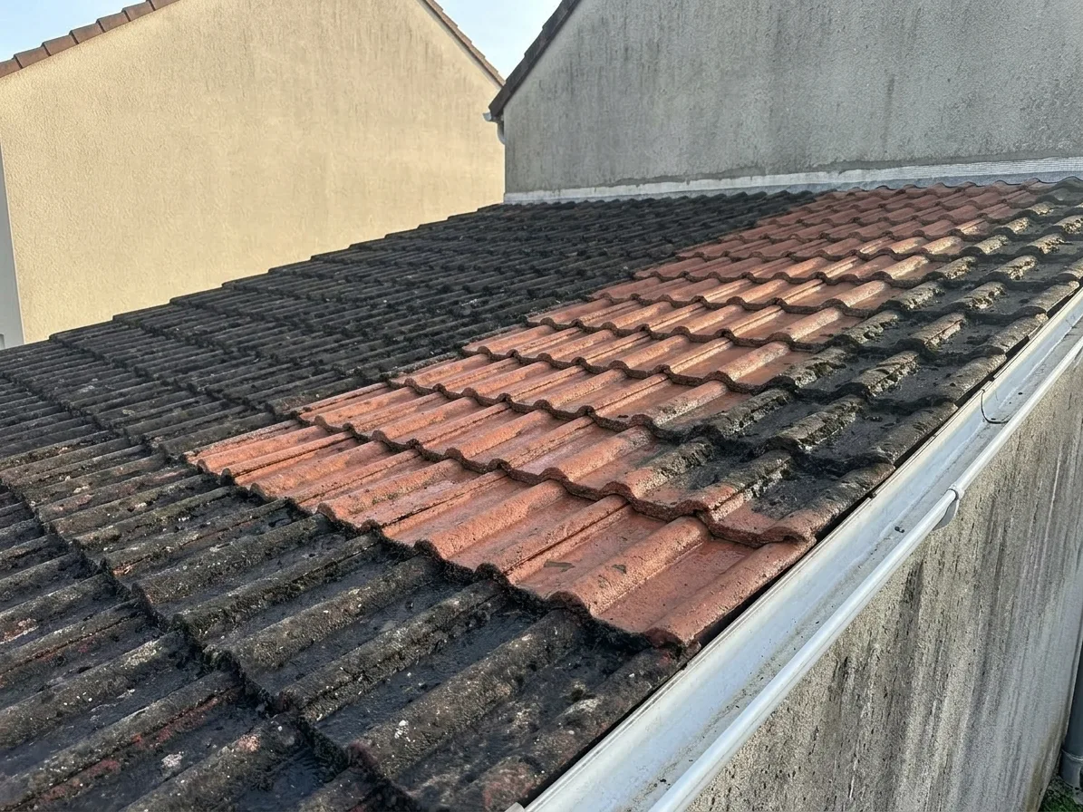 Démoussage de toiture à Roissy-en-Brie